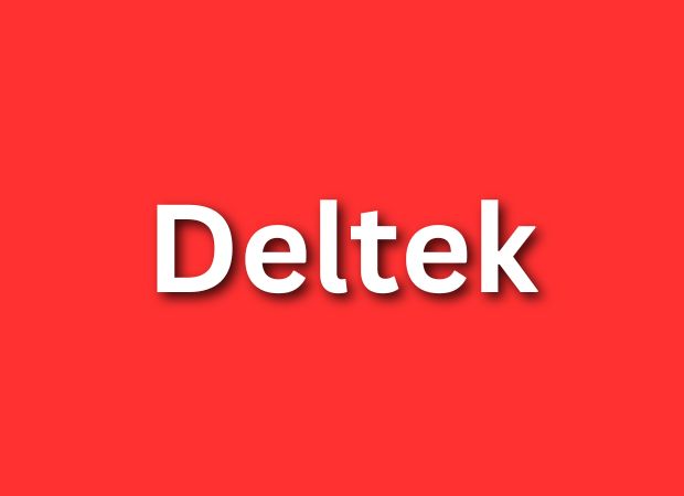 Deltek entry level remote software developer